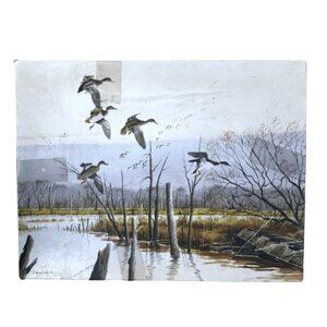 Vintage Hallmark Springbok 500 Piece Jigsaw Puzzle Mallards